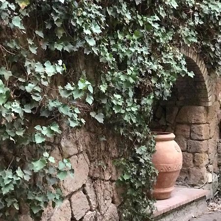 Princess B&B Frascati Ngoại thất bức ảnh